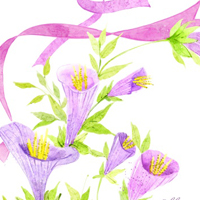 卡通花朵微信头像