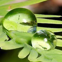 水珠头像图片