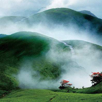 微信头像小清新风景