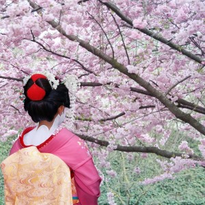 梦幻樱花头像女生