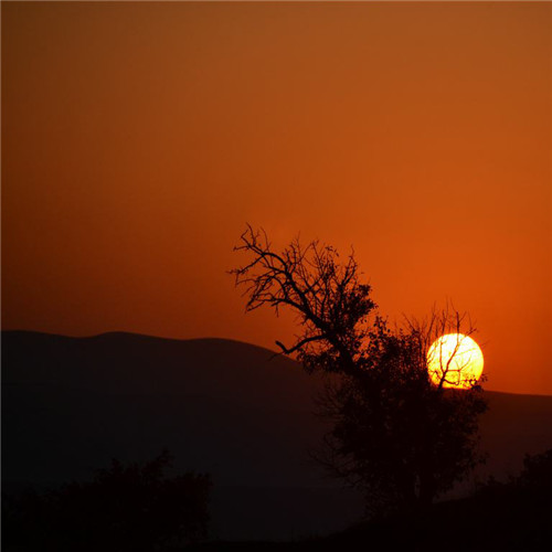 老年人微信头像夕阳红