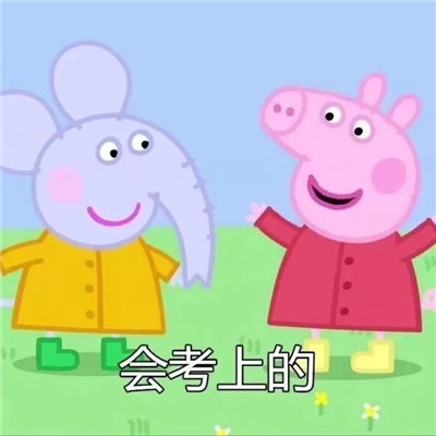 佩琪头像图片