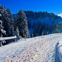 QQ头像雪景图片