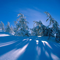 微信头像唯美雪景