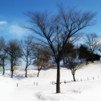 微信头像唯美雪景