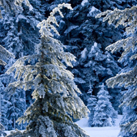 微信头像唯美雪景