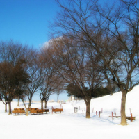 微信头像唯美雪景