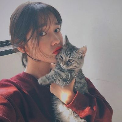 美女抱猫头像