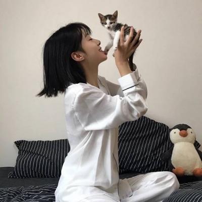 qq女头抱猫咪