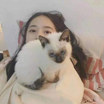 qq女头抱猫咪