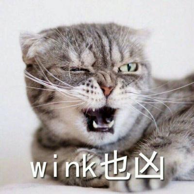 可爱猫咪带字头像图片