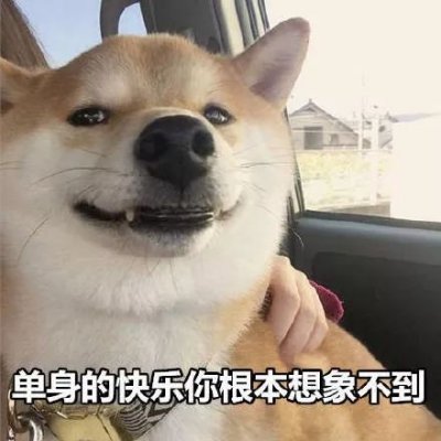 单身狗头像搞笑