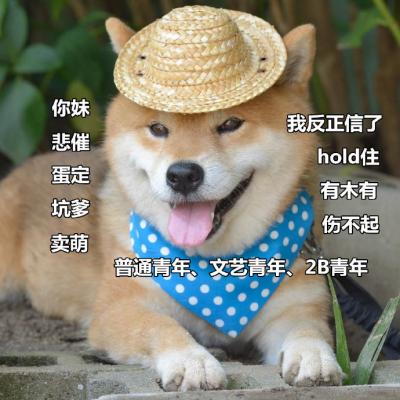 狗狗带字高清头像图片