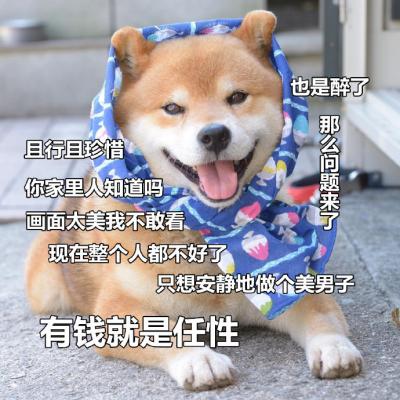 狗狗带字高清头像图片