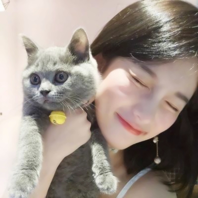 QQ头像女生抱猫图片