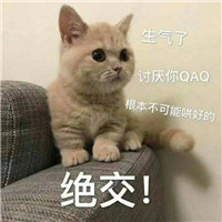 可爱猫带字头像图片