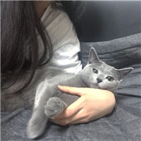 女生抱猫咪的慵懒头像