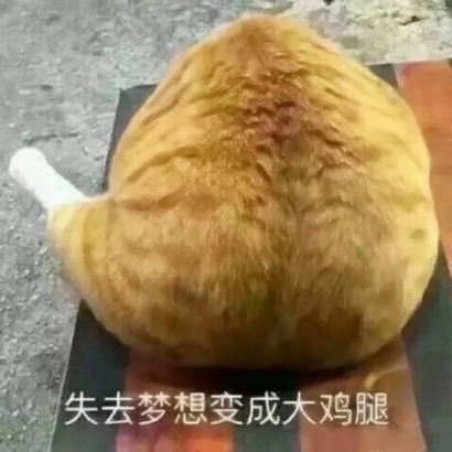 超可爱的情侣猫咪头像