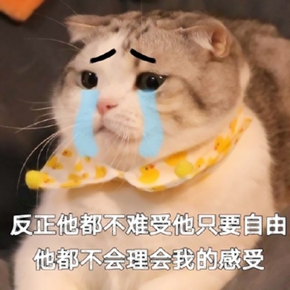 猫猫头像可爱