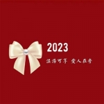 2024带来好运红色背景文字微信头像