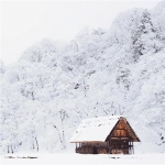 微信绝美雪景头像图片